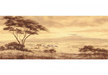 Landschaft & Natur
